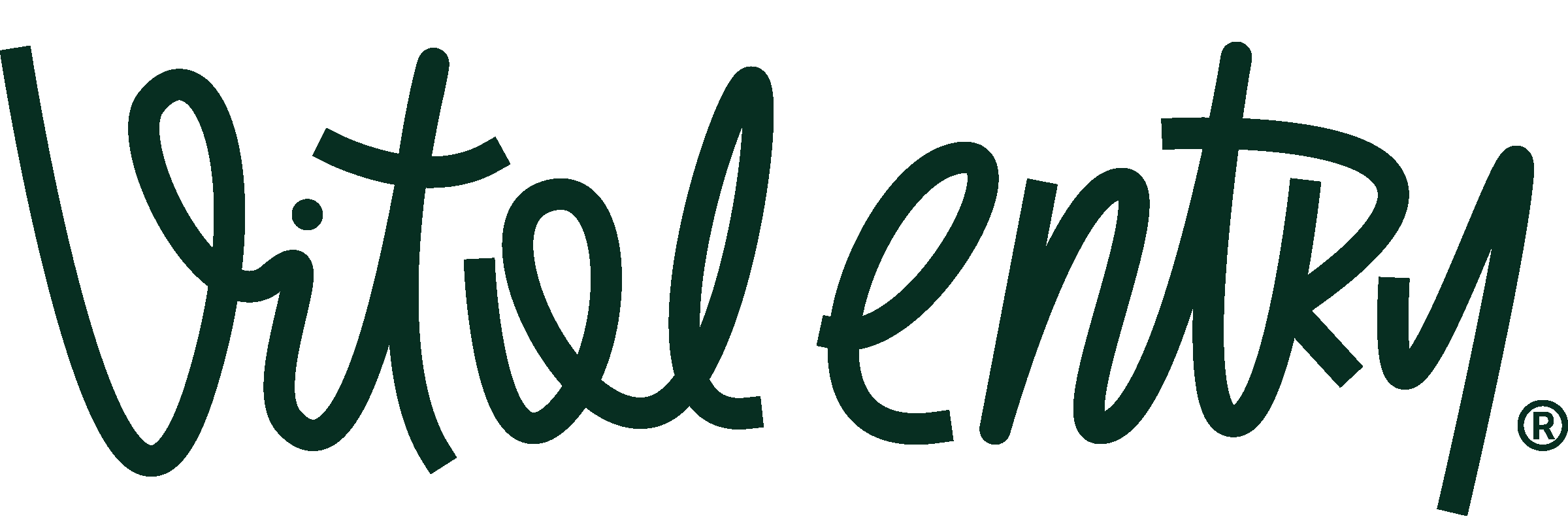 VitalEntrys_logo VitalEntrys_logo